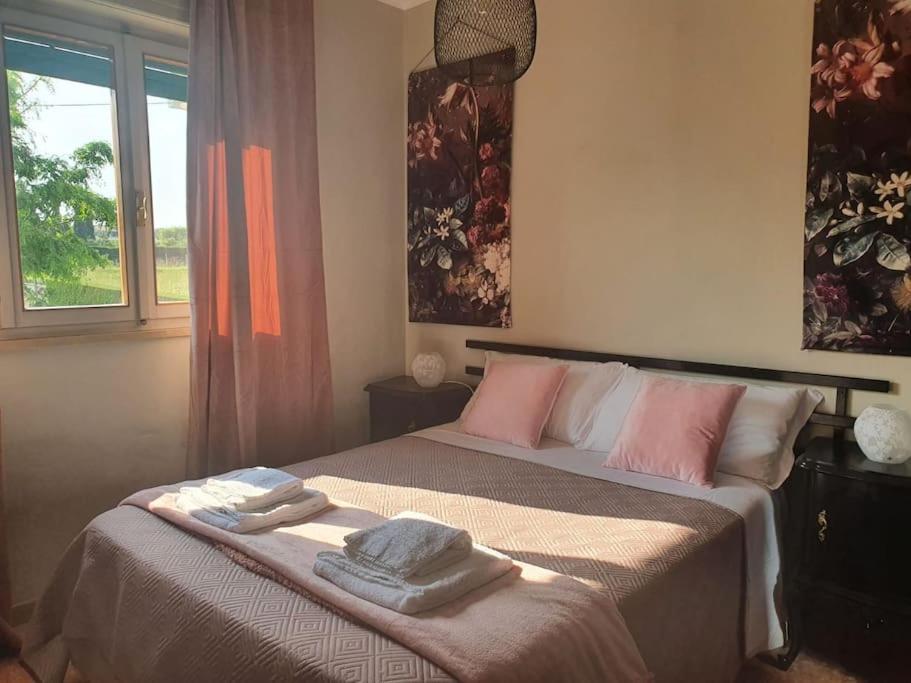 Molo - Residenza Con Accesso Diretto Al Lago Lazise Buitenkant foto