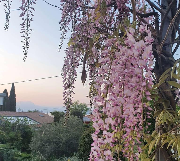 Molo - Residenza Con Accesso Diretto Al Lago Lazise Buitenkant foto